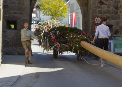ÖVP Maibaum 2026 Freistadt