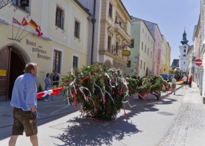 ÖVP Maibaum 2026 Freistadt