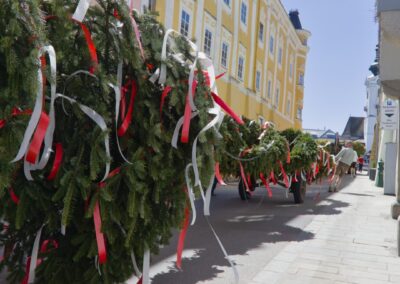 ÖVP Maibaum 2026 Freistadt
