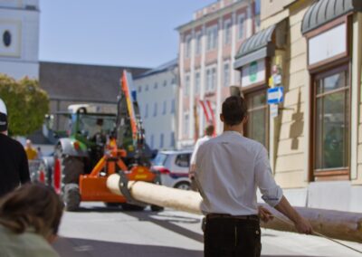 ÖVP Maibaum 2026 Freistadt