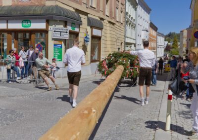 ÖVP Maibaum 2026 Freistadt