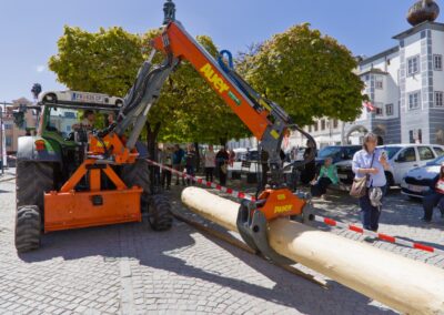 ÖVP Maibaum 2026 Freistadt