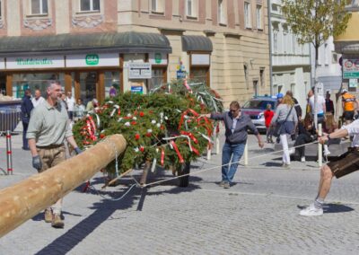 ÖVP Maibaum 2026 Freistadt