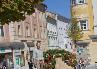 ÖVP Maibaum 2026 Freistadt