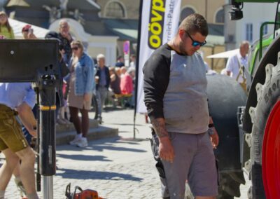 ÖVP Maibaum 2026 Freistadt