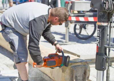 ÖVP Maibaum 2026 Freistadt