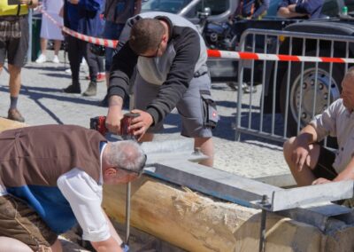 ÖVP Maibaum 2026 Freistadt