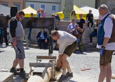 ÖVP Maibaum 2026 Freistadt