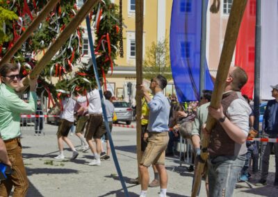 ÖVP Maibaum 2026 Freistadt