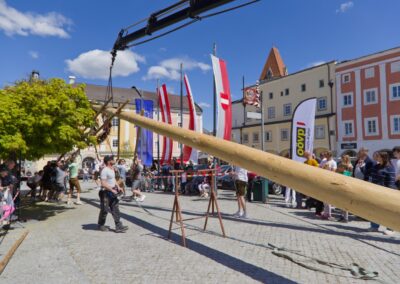 ÖVP Maibaum 2026 Freistadt