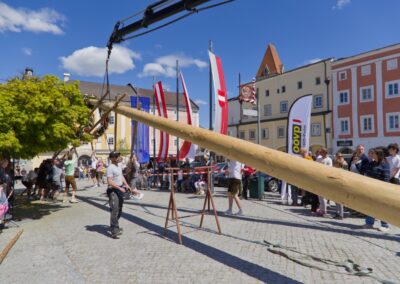 ÖVP Maibaum 2026 Freistadt
