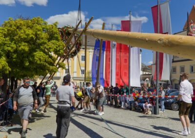 ÖVP Maibaum 2026 Freistadt