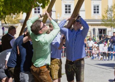 ÖVP Maibaum 2026 Freistadt