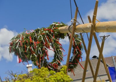 ÖVP Maibaum 2026 Freistadt