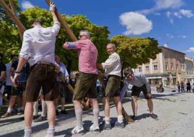ÖVP Maibaum 2026 Freistadt
