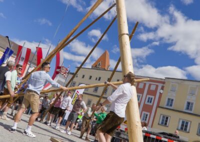 ÖVP Maibaum 2026 Freistadt