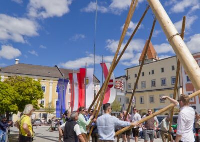 ÖVP Maibaum 2026 Freistadt