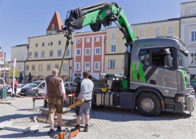 ÖVP Maibaum 2026 Freistadt