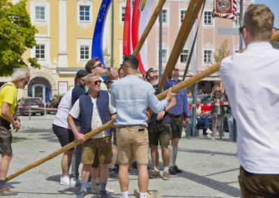 ÖVP Maibaum 2026 Freistadt