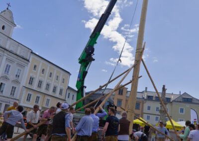 ÖVP Maibaum 2026 Freistadt