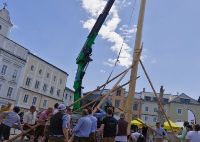 ÖVP Maibaum 2026 Freistadt