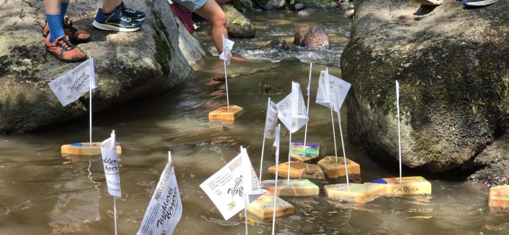 Schifferlregatta im Thurytal Juli 2026